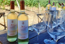 Est! Est!! Est!!! di Montefiascone 3 Est 2025 Cantina la Nobra