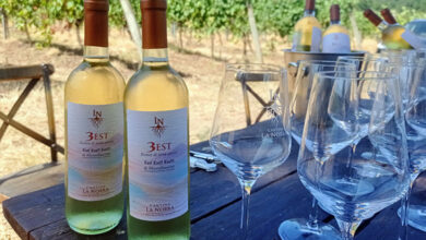 Est! Est!! Est!!! di Montefiascone 3 Est 2025 Cantina la Nobra