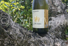 Alto Adige Pinot Bianco 2024 Hofstätter