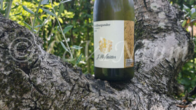 Alto Adige Pinot Bianco 2024 Hofstätter