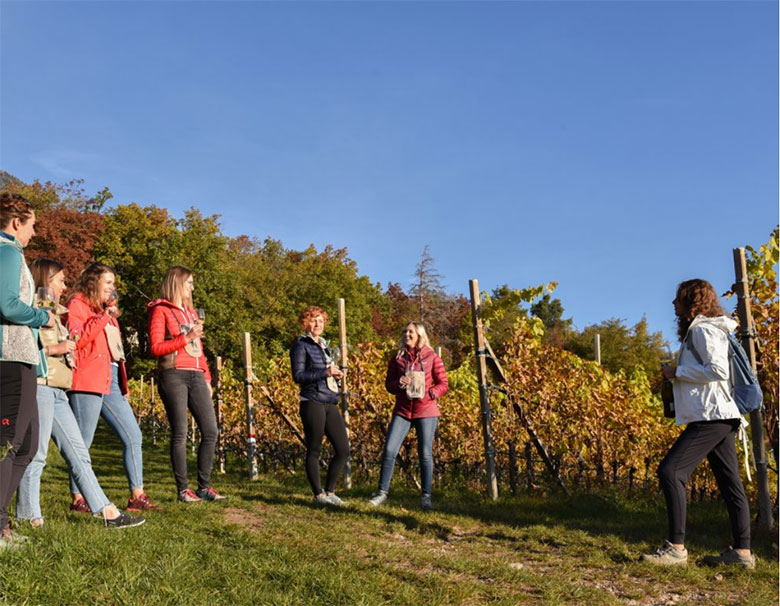 Le passeggiate tra i vigneti