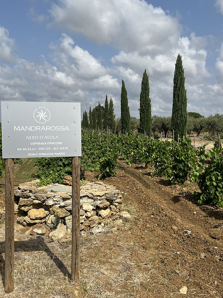 Mandrarossa vigneto nero d'avola