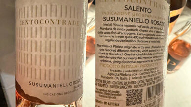 Susumaniello Rosato 2025 Cantina Pliniana