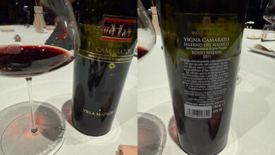 Falerno del Massico Vigna Camarato 2011 Villa Matilde