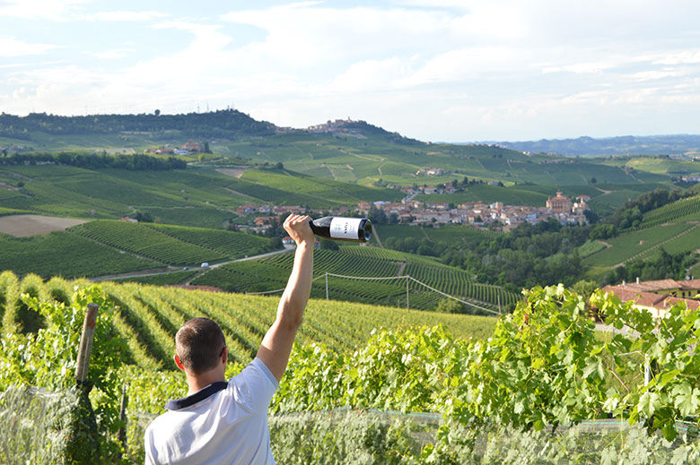 Merenda Sinoira vino