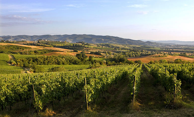 Vigna Monticchio