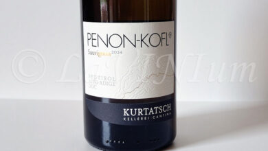 Alto Adige Sauvignon Penon-Kofl 2024 Kurtatsch