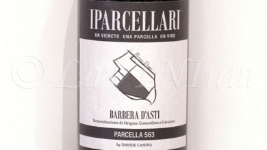 Barbera d'Asti Superiore Parcella 563 2021 I Parcellari