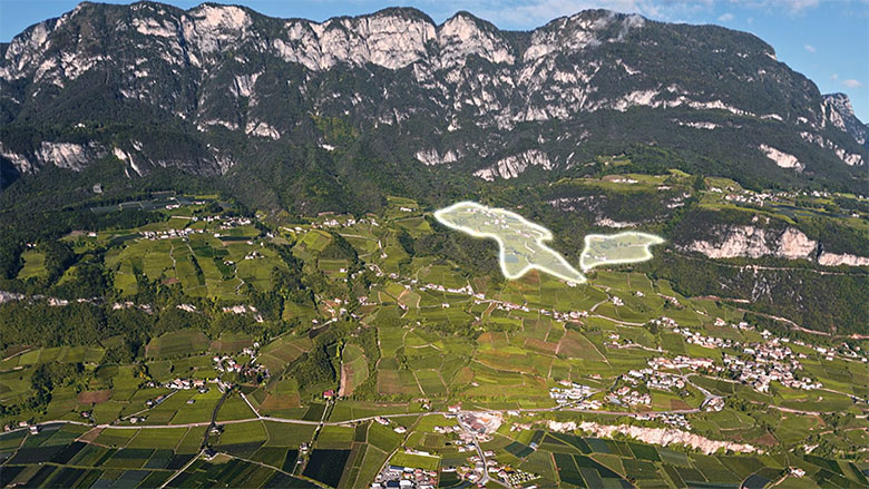 I vigneti di pinot bianco nell'UGA Penon-Hofstatt