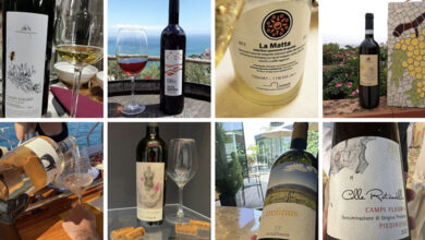 Otto vini per Garantito IGP
