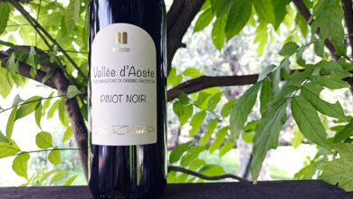 Valleé d’Aoste Pinot Noir 2021 Le Clocher
