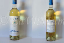 Vermentino di Sardegna Millumì 2022 Livesi