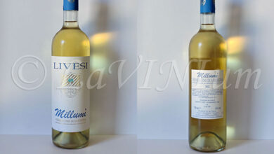 Vermentino di Sardegna Millumì 2022 Livesi