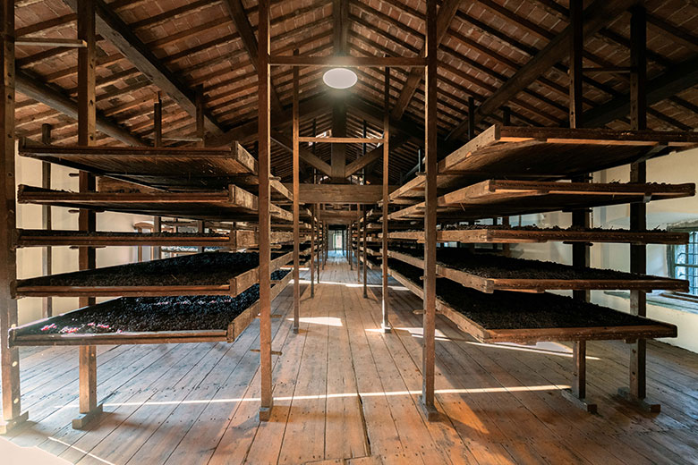 L'appassimento delle uve dell'Amarone
