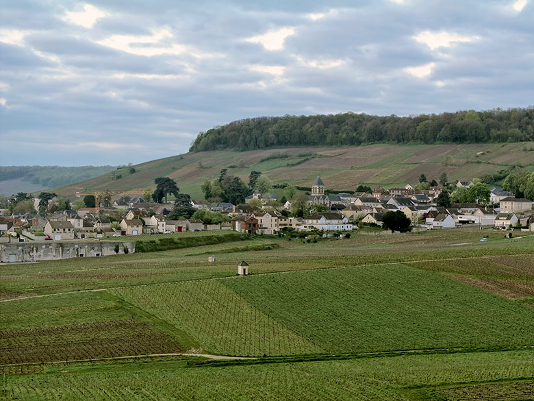 Odyssée vigneti