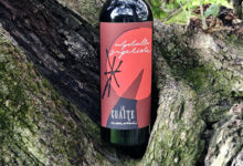 Valpolicella Superiore 2015 Le Guaite di Noemi