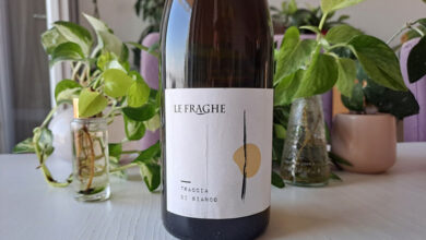 Garganega Traccia di Bianco 2024 Le Fraghe