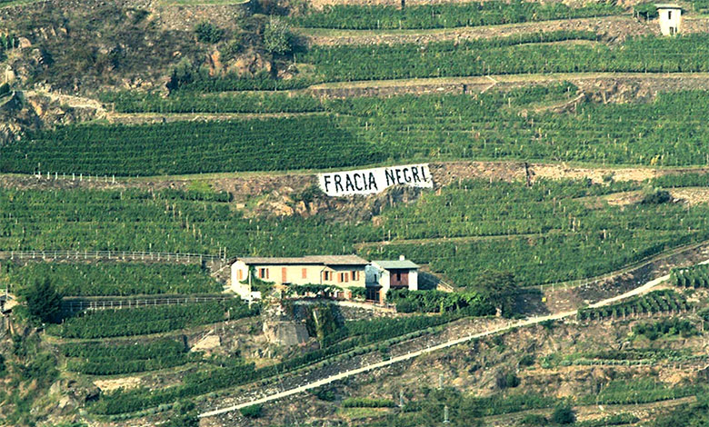 Vigneto Fracia