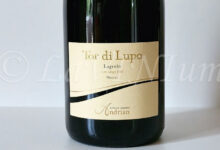Alto Adige Lagrein Tor di Lupo Riserva 2023 Andriano