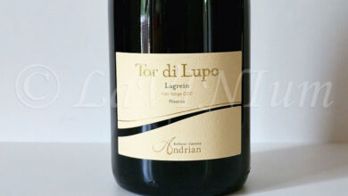 Alto Adige Lagrein Tor di Lupo Riserva 2023 Andriano