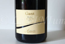 Alto Adige Merlot Gant Riserva 2023 Andriano