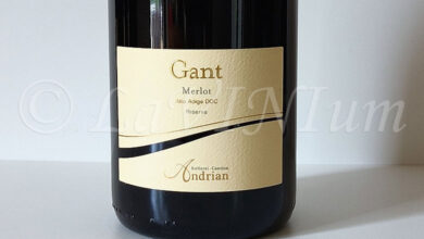 Alto Adige Merlot Gant Riserva 2023 Andriano