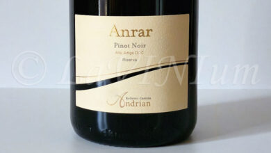 Alto Adige Pinot Noir Anrar Riserva 2023 Andriano