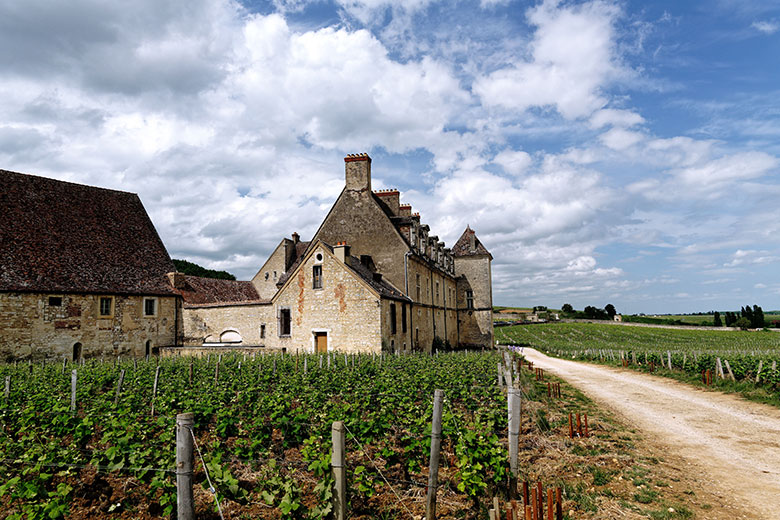 Chateau a Bordeaux by pexels