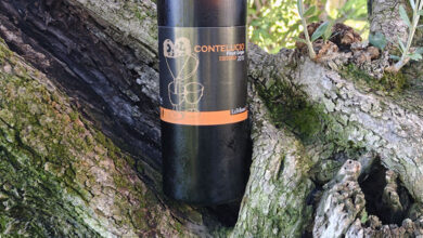 Venezia Giulia Pinot Grigio Ramato Conte Lucio 2015 La Bellanotte