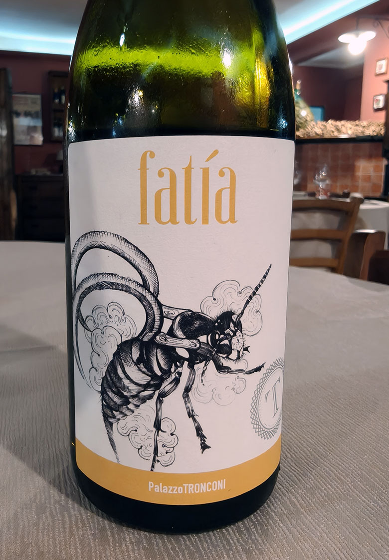 Maturano Fatìa 2024 Palazzo Tronconi