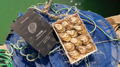 Orto di Mare – Ostrica Venere